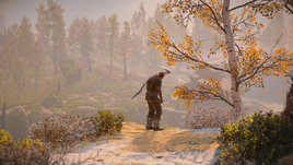 The Forgotten (HZDR; 11)