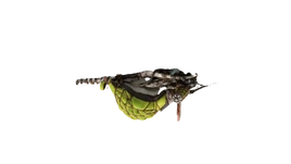 Acidspitter (no bg)