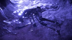 A non-operational multiservitor.