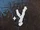 Vigorstem