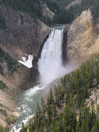Yellowstone Falls.png