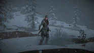 Aloy seeing a balloon flying past.