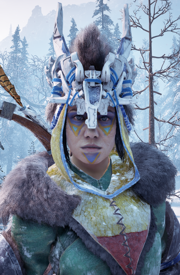 Into the Frozen Wilds, Horizon Wiki