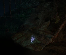 Compensatory Damages