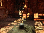 Associated Ornament.