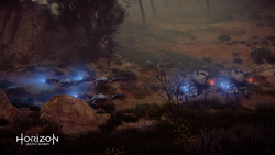 Shellwalker Convoy 1