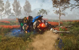 Plowhorns and Plants