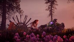 Aloy Elisabet Remains