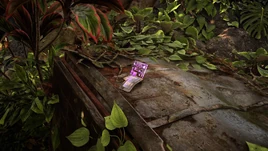 ChatBuddy Daily Check-In