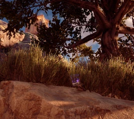 Turing Act criticized