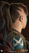 Closeup artwork of a generic Lowland Tenakth from behind by Thomas Sykutera.[17]
