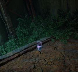 Limited-Edition Merch