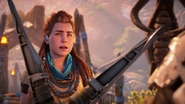 The guards blocking Aloy from entering.