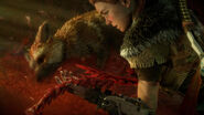 Aloy examines a patch of red blight containing a fox.