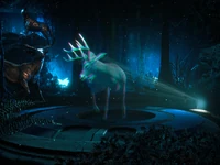 Deer Holo