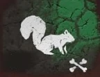Squirrel Bone