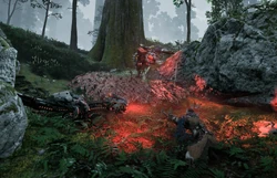  hunting in the Stand of the Sentinels.