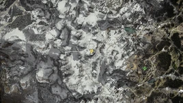 Idiot Army Trial Map