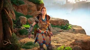 Aloy ready to follow Dervahl.