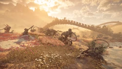 9AD5542B-2C43-4FE4-BAE7-790E4A05CE2D