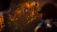 Aloy and Rost watching Teb hanging from the Brave Trail.