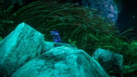 An Interdimensional Birthday