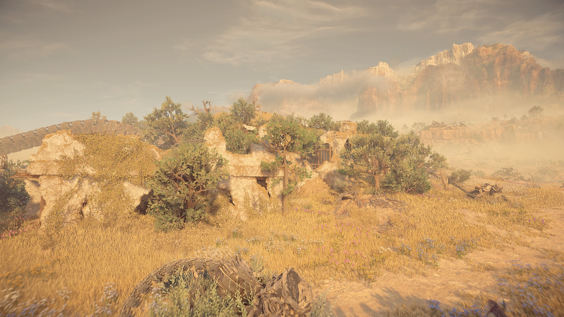 Relic Ruins: No Man's Land | Horizon Wiki | Fandom