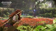 HFW Aloy in Jungle Ruins 2
