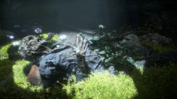 A Gift from the Past (HZDR; 38)