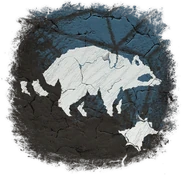 Raccoon Skin