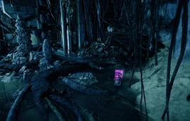 ADMTN WRTH BRN DREAM 2