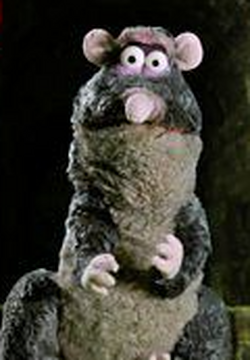 Rattus store