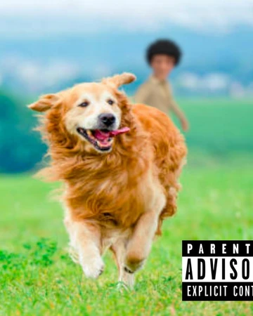 dog dog songs