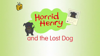 House of henry dog tags best sale