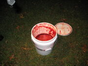 Blood bucket