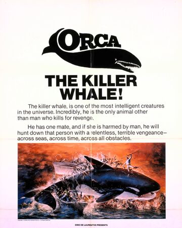 orca film horror film wiki fandom