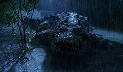 Crocodile (animal), Horror Film Wiki