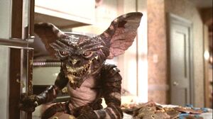 Gremlins released 39 years ago today. (June 8th, 1984) : r/Gremlins