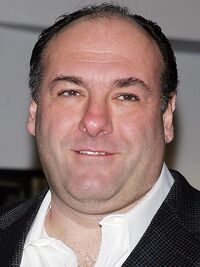 James Gandolfini (1961 – 2013)