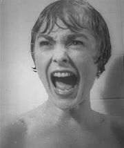 Marion crane janet leigh