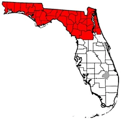 Map Of Northern Florida Cities North Florida | Horror Film Wiki | Fandom