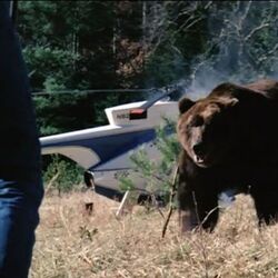 Category:Animals | Horror Film Wiki | Fandom Category:Animals | Horror Film Wiki | Fandom