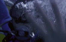 Hootie screams and his arms wave desperately in front of him as his body is sent towards the jaws of a shark.