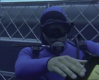 Shark Attack 2 Hootie Underwater.jpg (214 KB) Hootie in the protective cage.