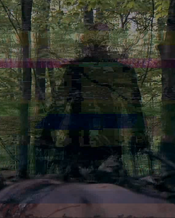 The Glitch V H S Horror Film Wiki Fandom