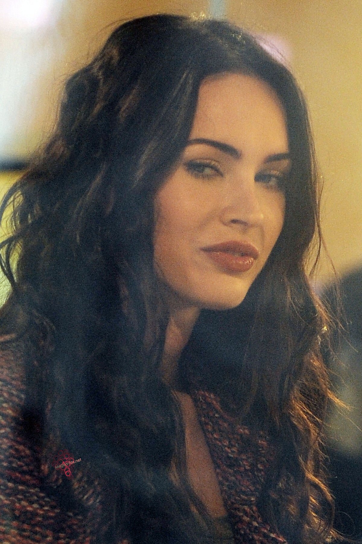 megan fox in elementary school