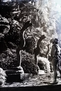 Moctezuma entranced by Las Pozas sculputres.