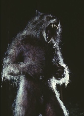 Werewolf (1996 film) - Wikipedia