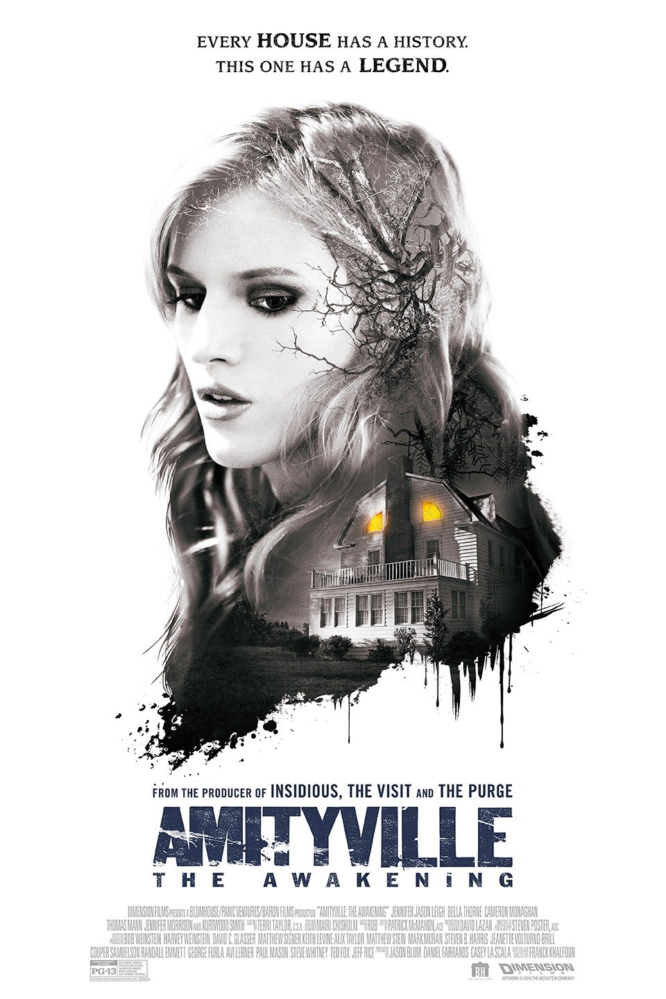 when does amityville the awakening come out