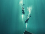 The Deep House